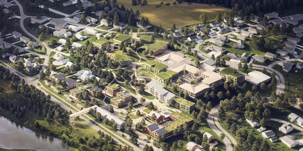 未来健康与护理服务（Future Health and Care Services）