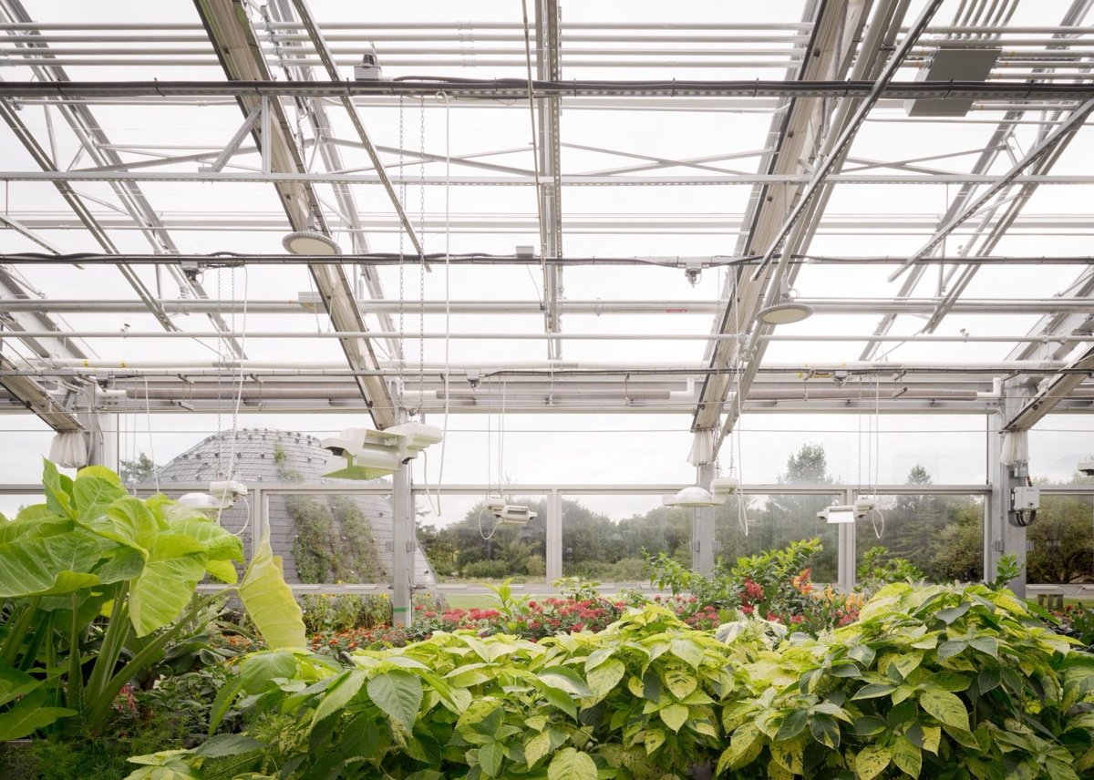 蒙特利尔昆虫馆（Insectarium Montréal）