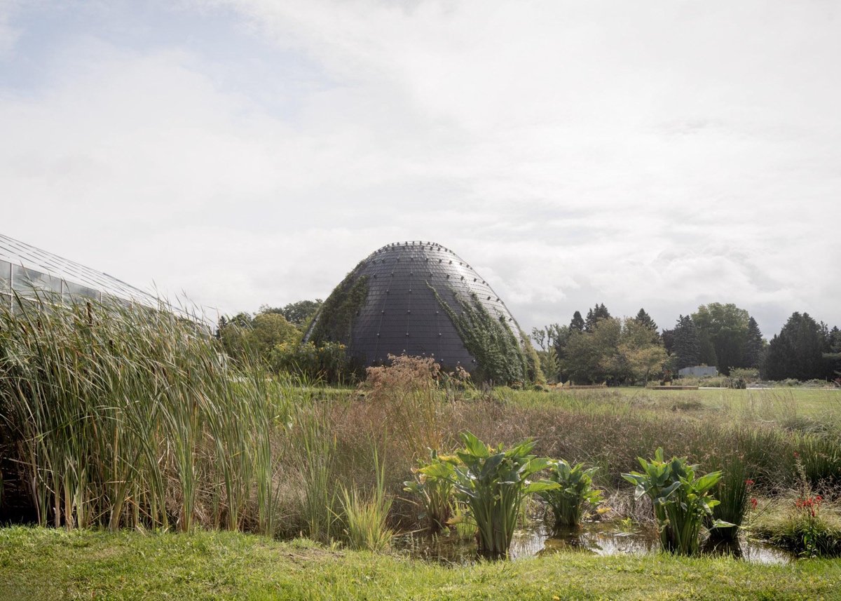 蒙特利尔昆虫馆（Insectarium Montréal）