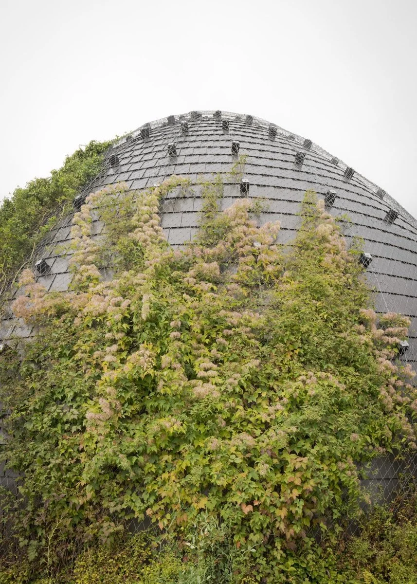 蒙特利尔昆虫馆（Insectarium Montréal）