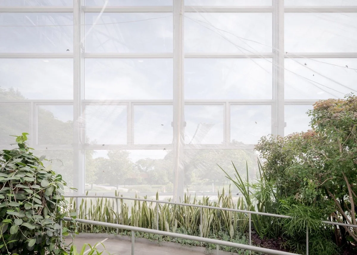 蒙特利尔昆虫馆（Insectarium Montréal）