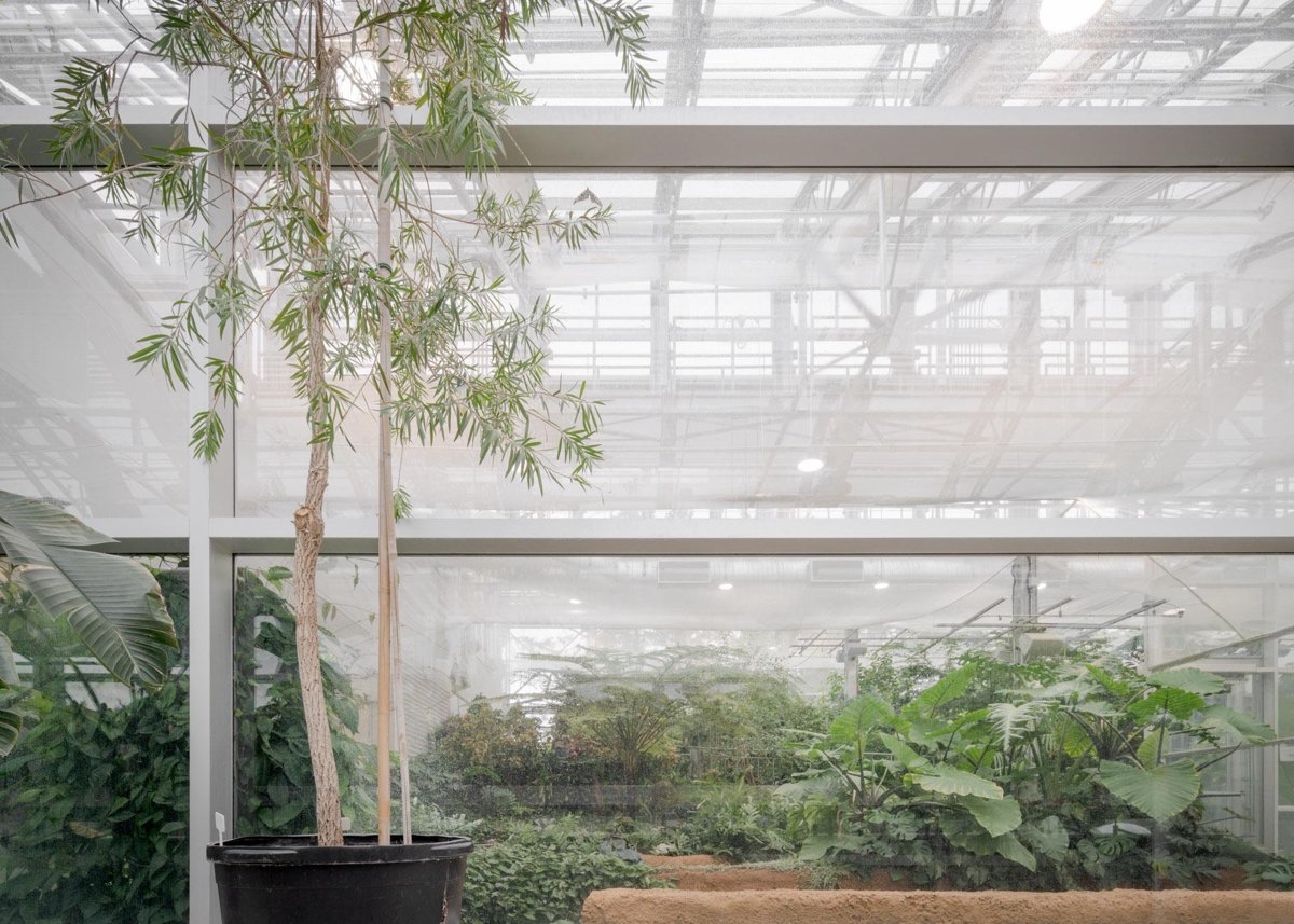 蒙特利尔昆虫馆（Insectarium Montréal）