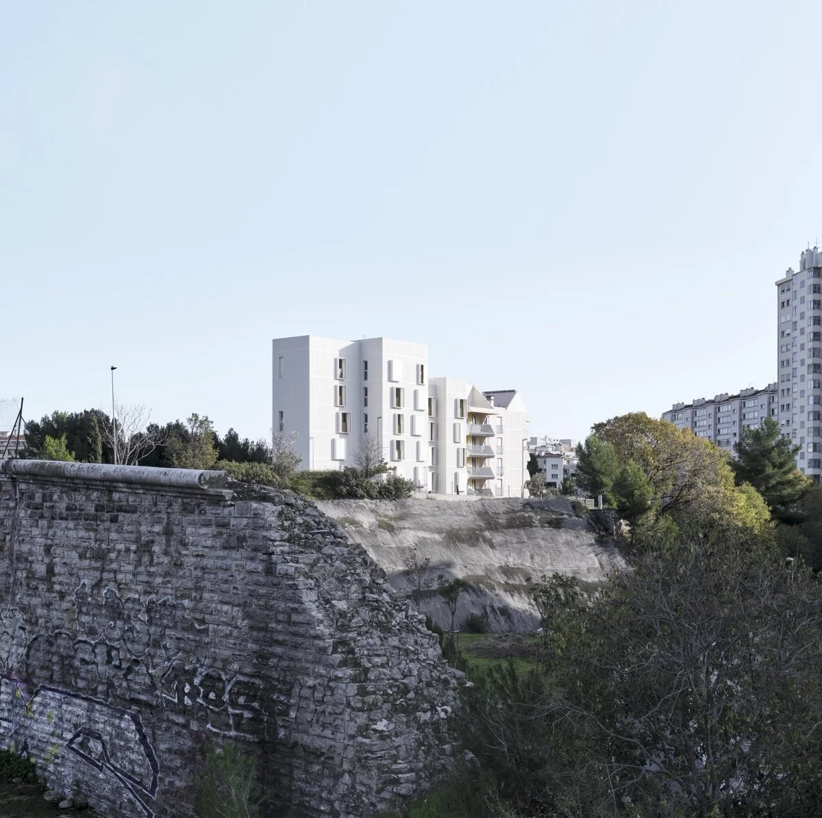 Les Cyprès