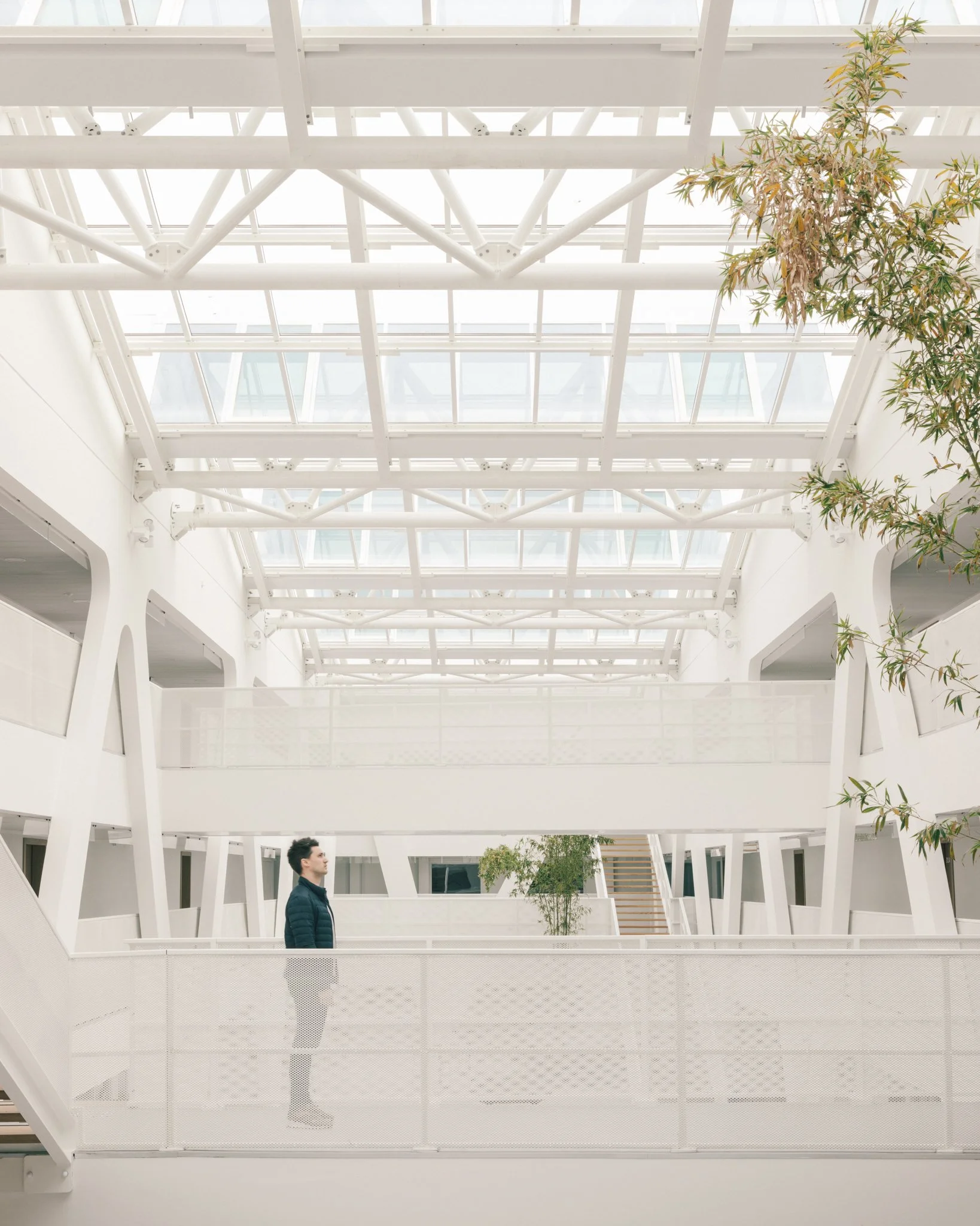 LA PROVIDENCE High school