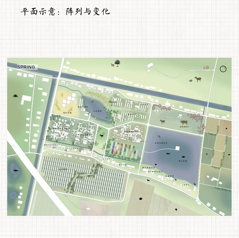 共生视角下的南京八卦洲生产性景观改造设计