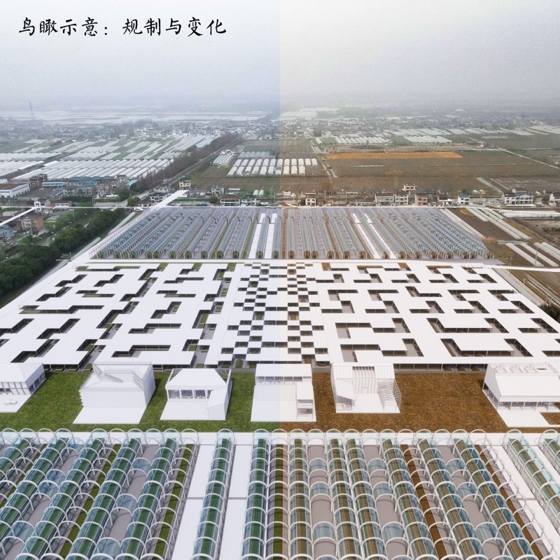 共生视角下的南京八卦洲生产性景观改造设计