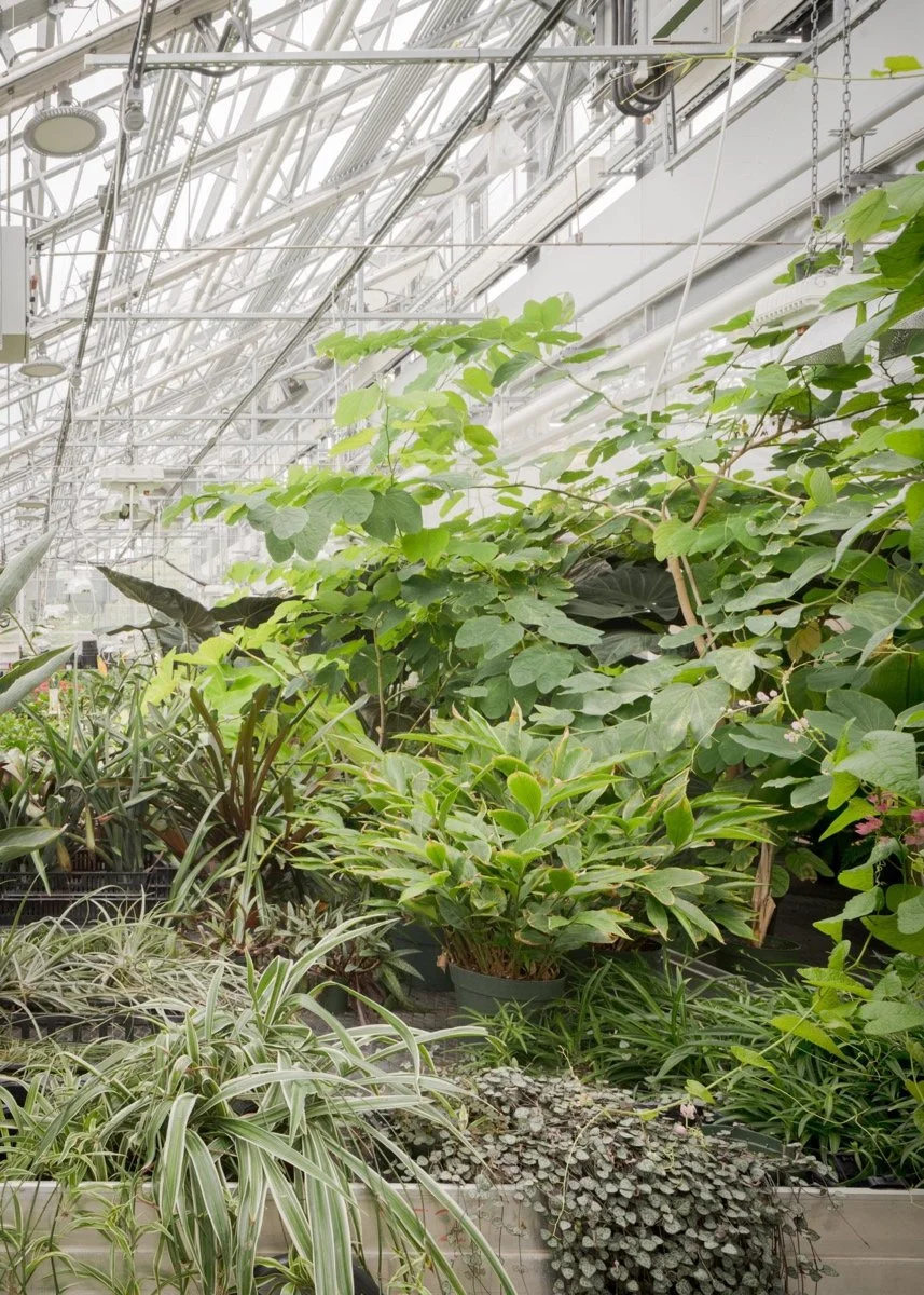 蒙特利尔昆虫馆（Insectarium Montréal）