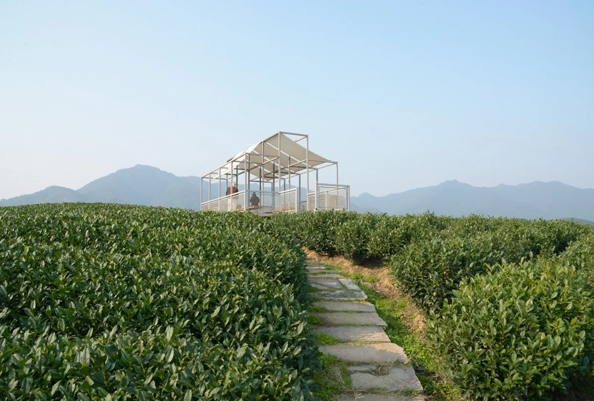 茶山浮亭（A Floating Pavilion On A Tea Mountain）