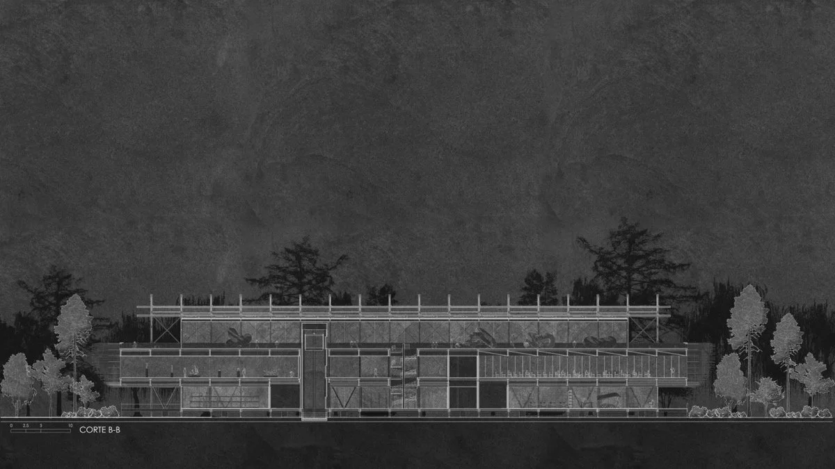 蒂格雷三角洲博物馆（Museo en el Delta, Tigre）