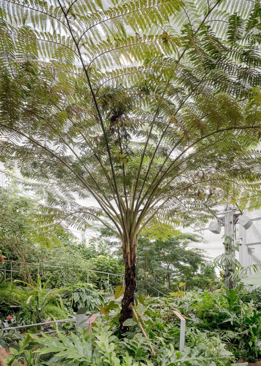 蒙特利尔昆虫馆（Insectarium Montréal）