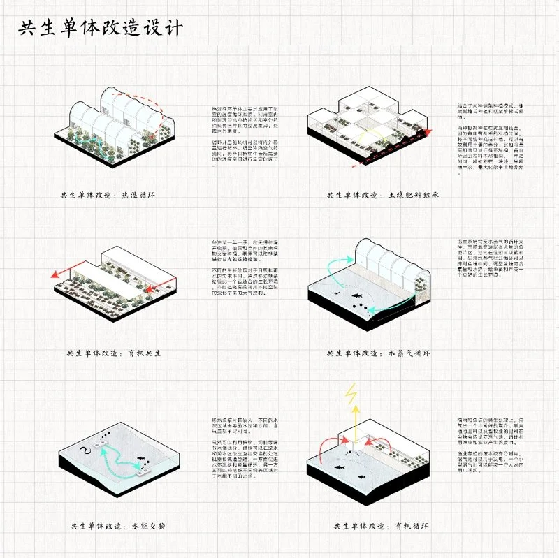 共生视角下的南京八卦洲生产性景观改造设计