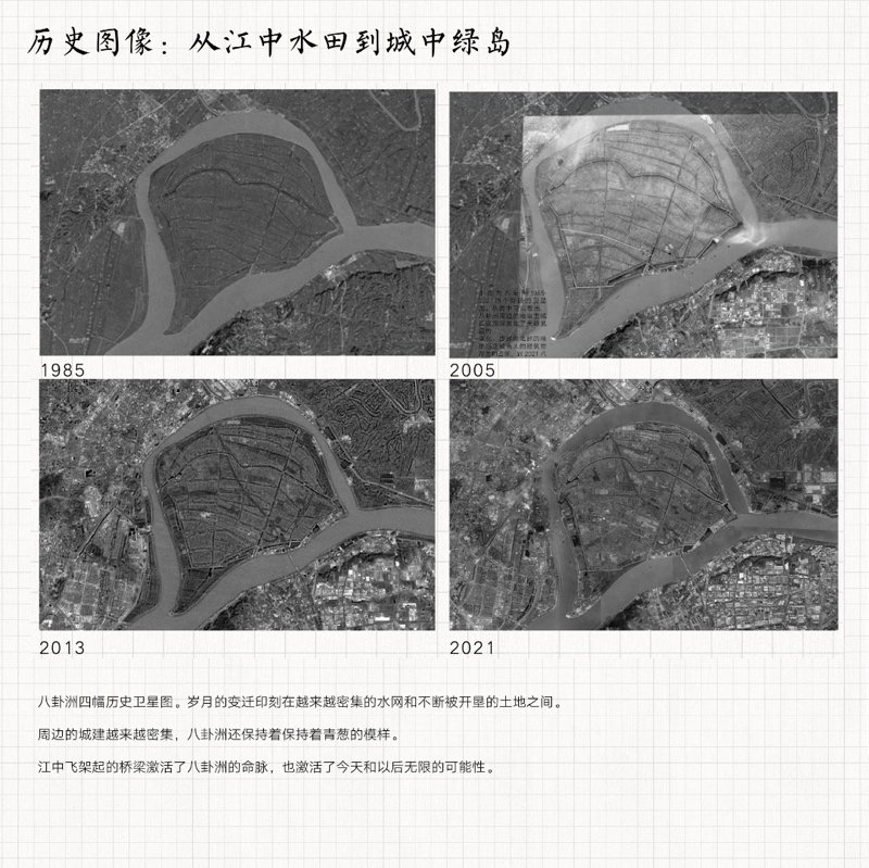 共生视角下的南京八卦洲生产性景观改造设计