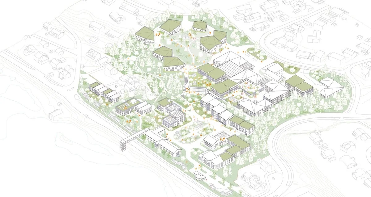 未来健康与护理服务（Future Health and Care Services）