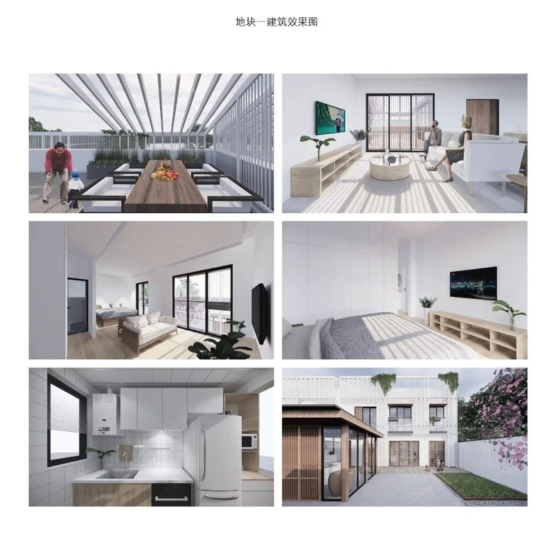 微型社区 ——乡村小住宅集合多样化居住