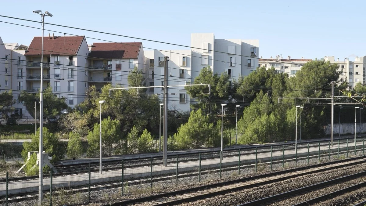Les Cyprès