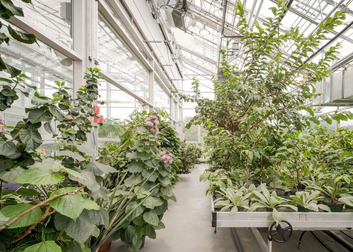 蒙特利尔昆虫馆（Insectarium Montréal）