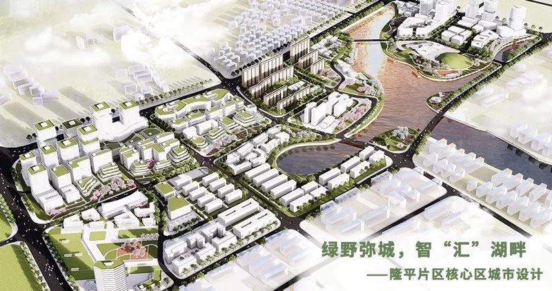 绿野弥城，智“汇”湖畔——隆平片区核心区城市设计；基于生态低碳理念下的产学研一体化城市设计