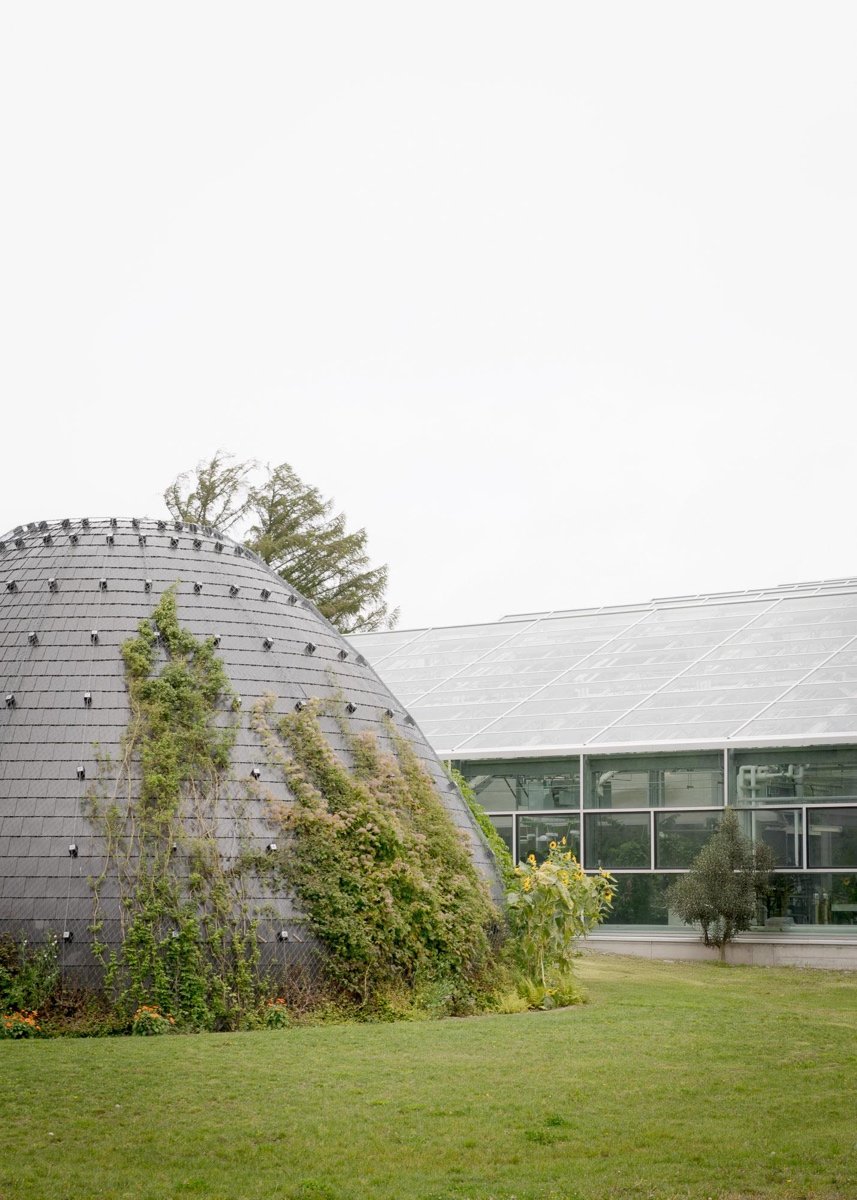 蒙特利尔昆虫馆（Insectarium Montréal）
