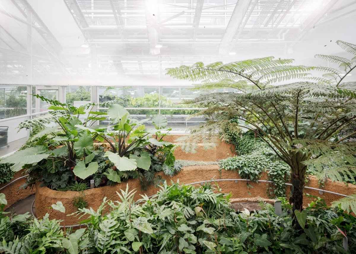 蒙特利尔昆虫馆（Insectarium Montréal）