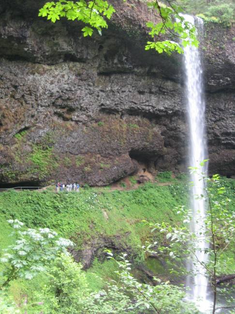 July 2009 - Silver Falls State Park