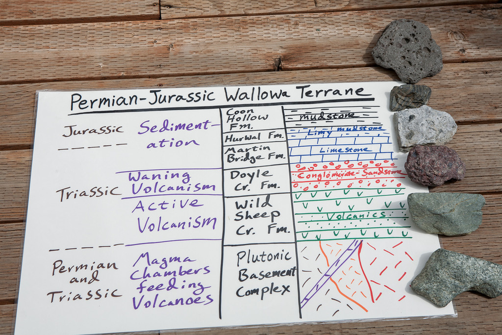 Permian-Jurassic chart.jpg