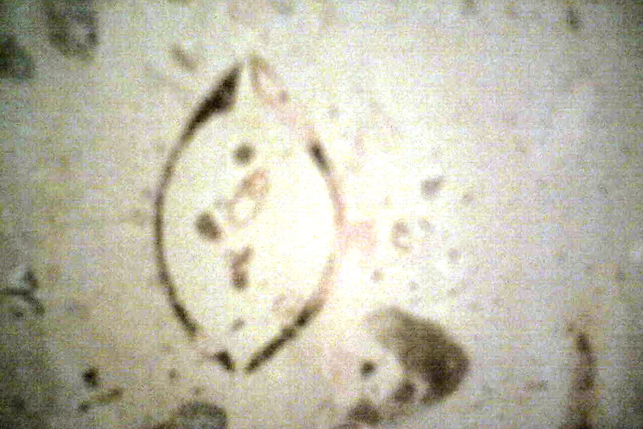 img034.jpg