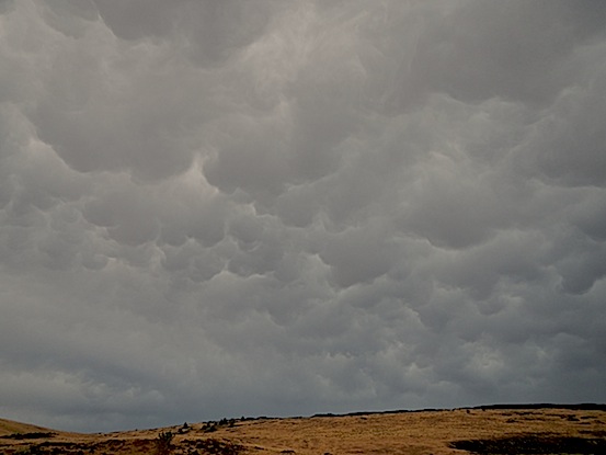 Scouting Trip to Southeast Oregon_Page_07_Image_0001.jpg