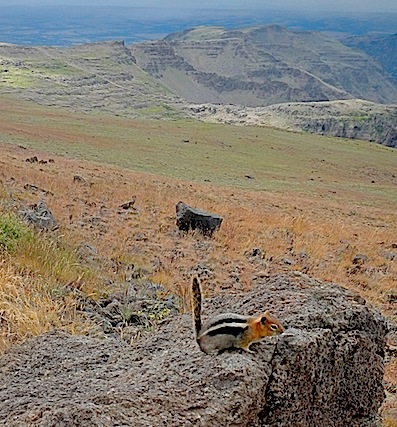 Scouting Trip to Southeast Oregon_Page_32_Image_0002.jpg