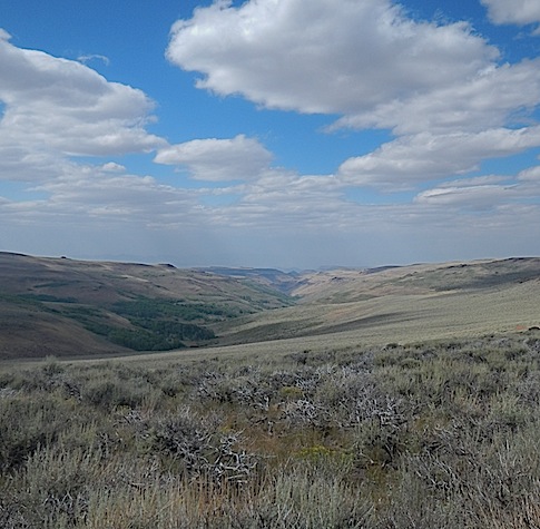 Scouting Trip to Southeast Oregon_Page_48_Image_0002.jpg