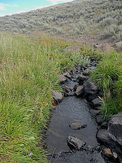 Scouting Trip to Southeast Oregon_Page_49_Image_0001.jpg