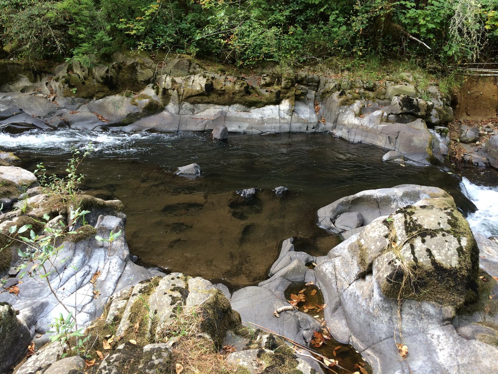 Sept. 2014 — Cascades Sedimentary Geology