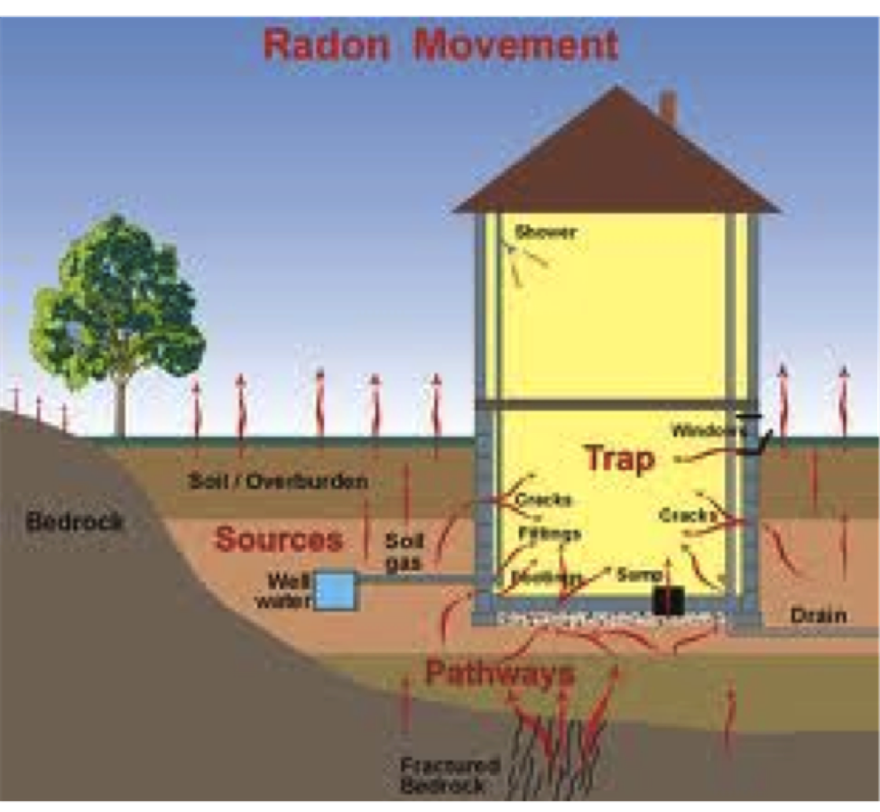 Radon movement.png