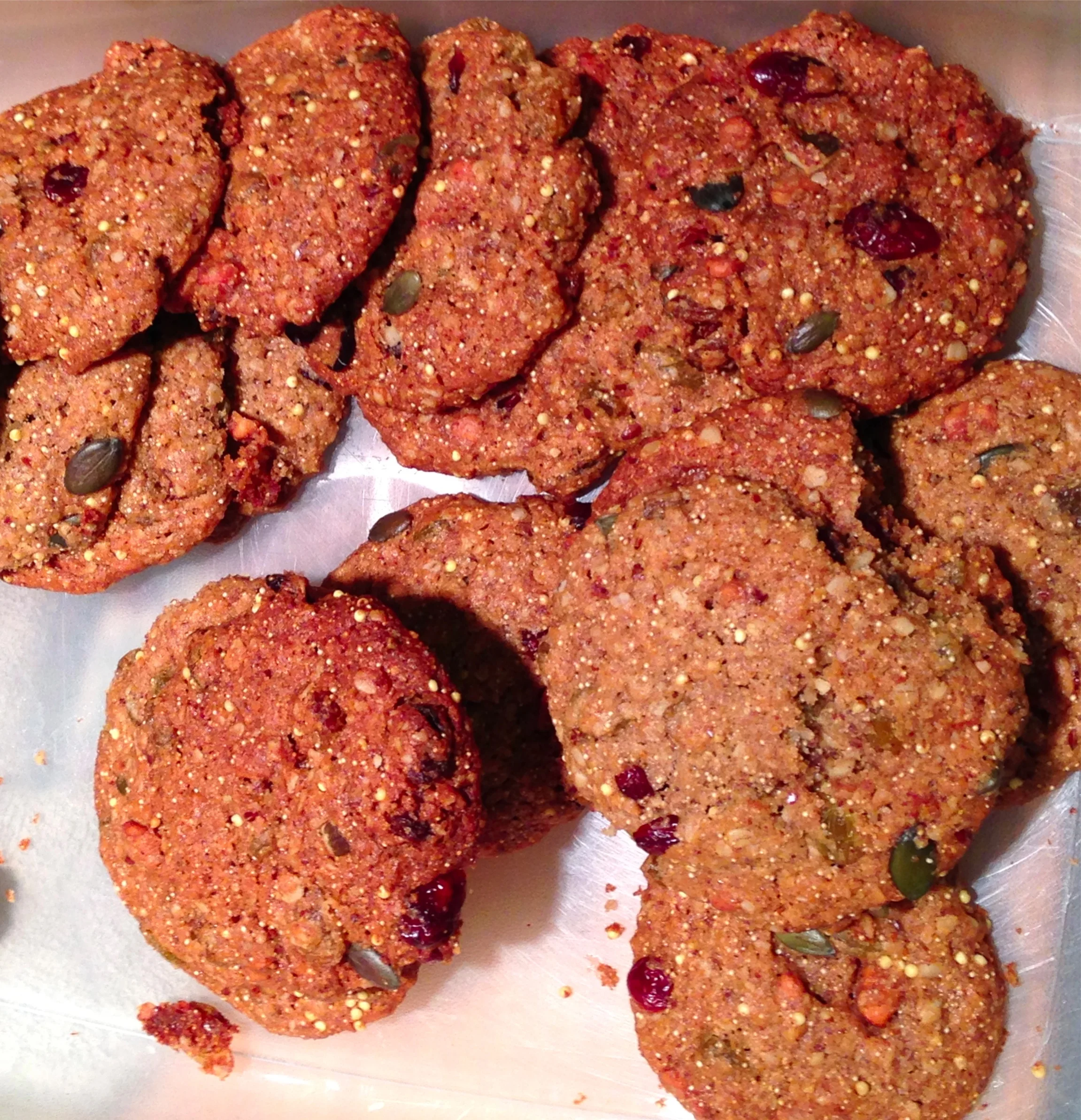 Rik's G.S.O.C. (Gooey-Seedy-Oatmeal-Cookies) Recipe
