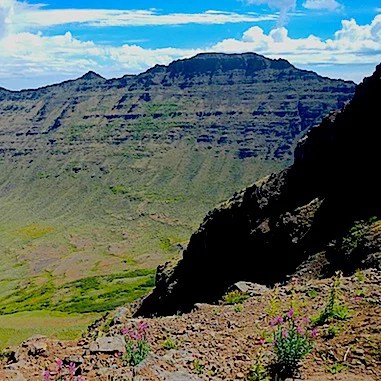 2015 President's Field Trip: Geologic Wonders of Southeast Oregon