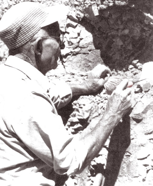 Lon Han cock, working at The Clarno Nut Bed s.