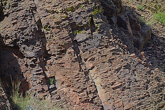 unusual fracture pattern in steens basalt outcrop