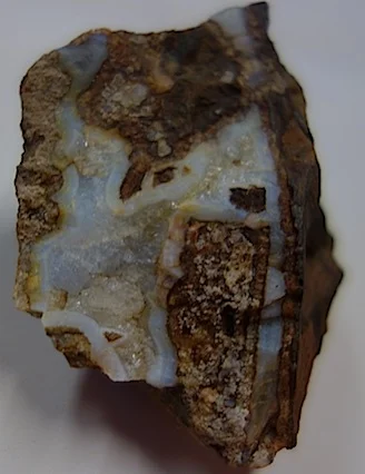 One of Jan's finds