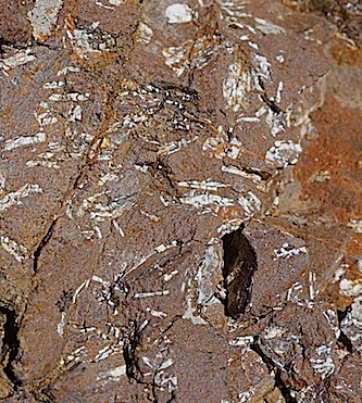 A bit of Steen's Basalt found in the Pueblo Mountains