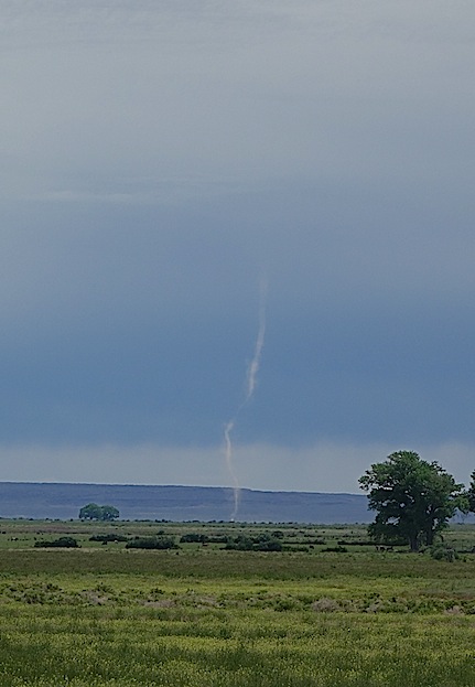 This dust devil looked like a very thin tornado