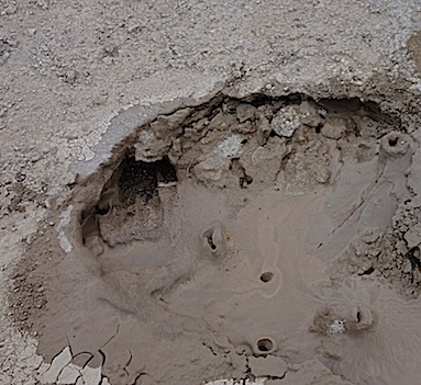 One of the mud pots had these tiny mud volcanoes within (a couple inches across.) Steam was venting from the large opening.