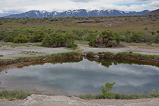 SNSTEENS OW COVERED STEENS MOUNTAINS