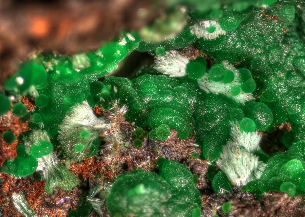 Friday Night Lecture July 10th