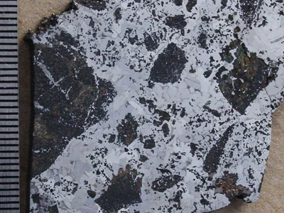 Meteorite Findings and “Greatest Hits”