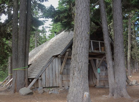 An A-Frame crowded with trees that have grown too big. Some are flagged to be taken out.