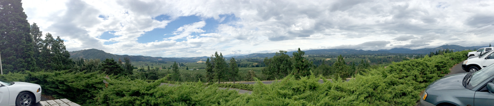 Panorama Point Overlook