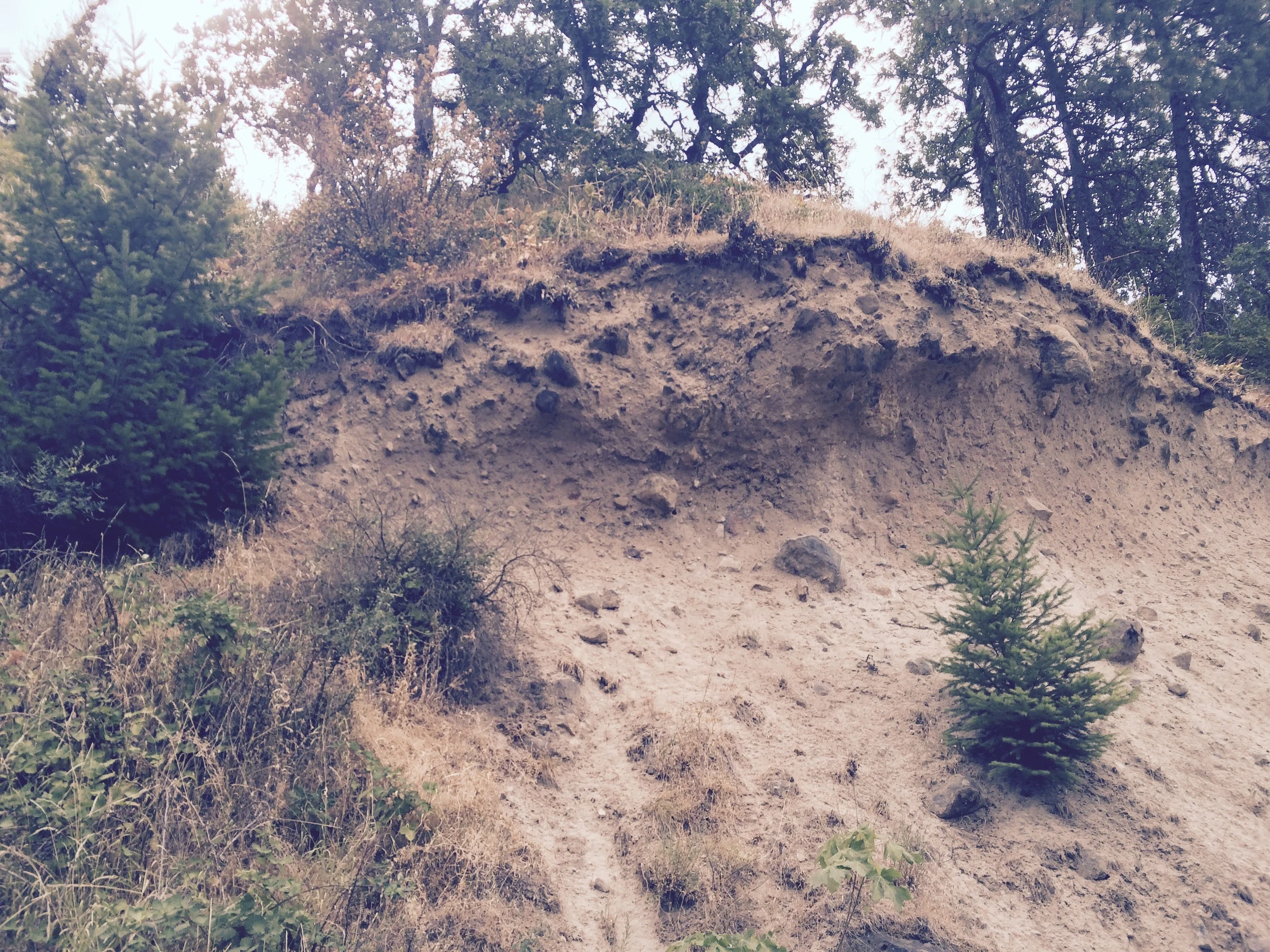 Lahar Sediments