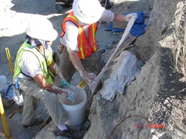 Stabilizing dinosaur remains. Photo by Sheila Alfsen.