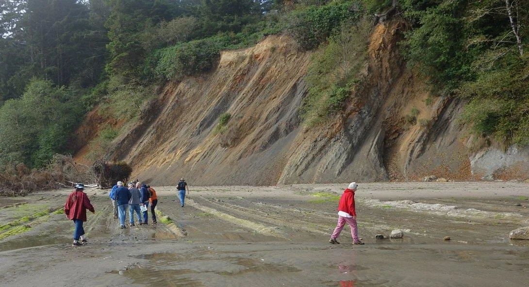On Sunset Bay, SW of Coos Bay, we viewed cliffs made up of Coaledo Formation. The layers are tilted sharply upward in the cliffs, & overlain w/Whiskey Run terrace of sandstone, 80' above sea level.