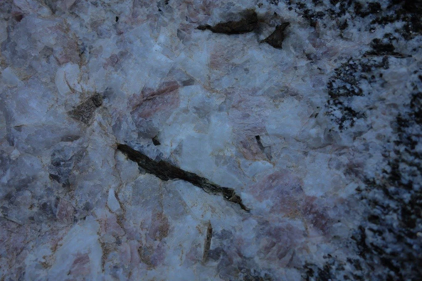 An inclusion of pegmatite in the local granite outcrop.