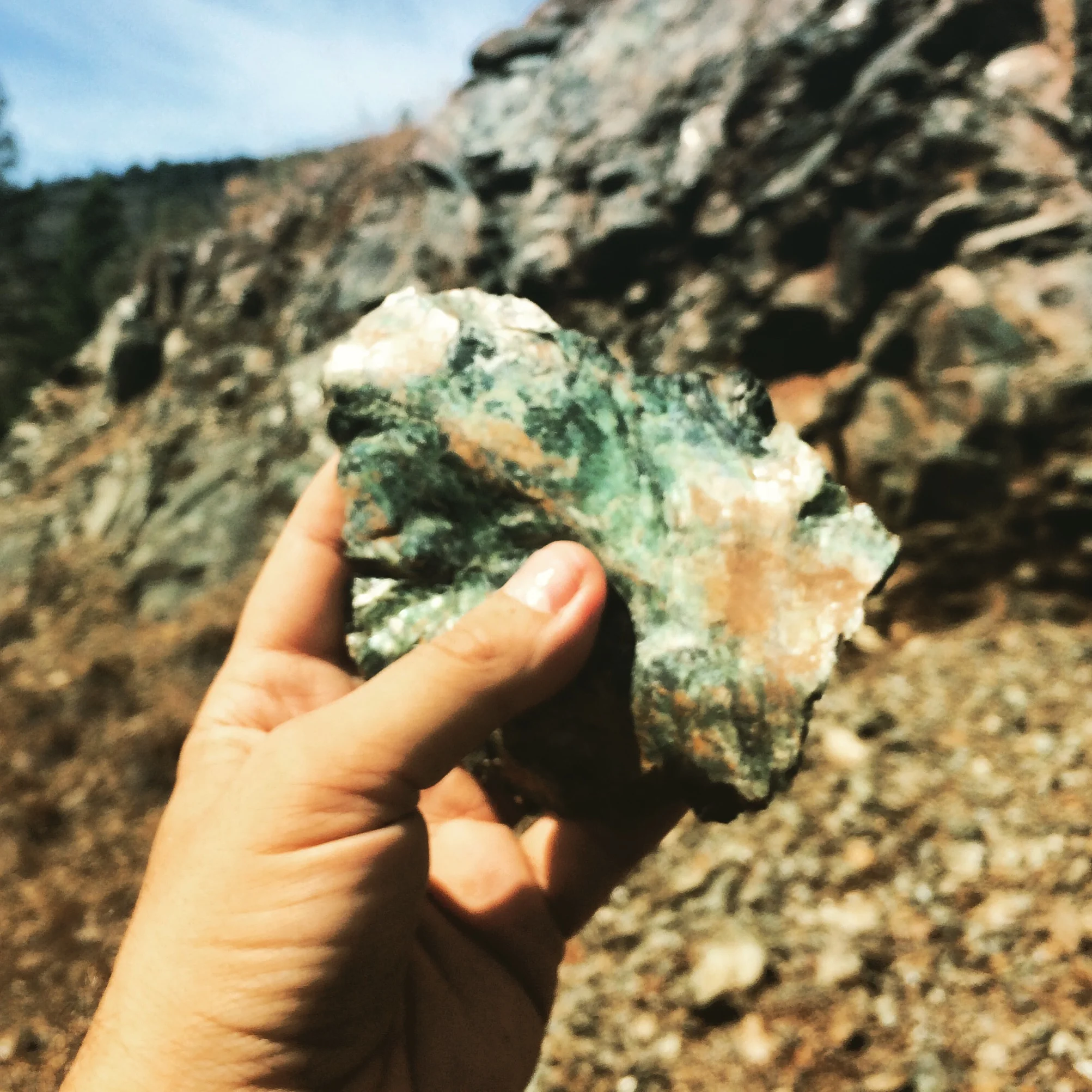 Up into the steep hills to find a beautiful outcrop of green serpentenite. Past President Sheila Alfsen helped to organize and lead parts of this trip.